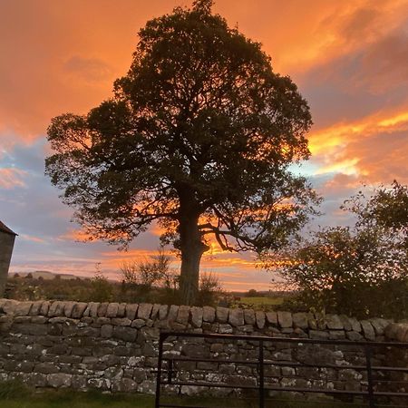 Wydon Farm Bed And Breakfast Haltwhistle Exteriör bild
