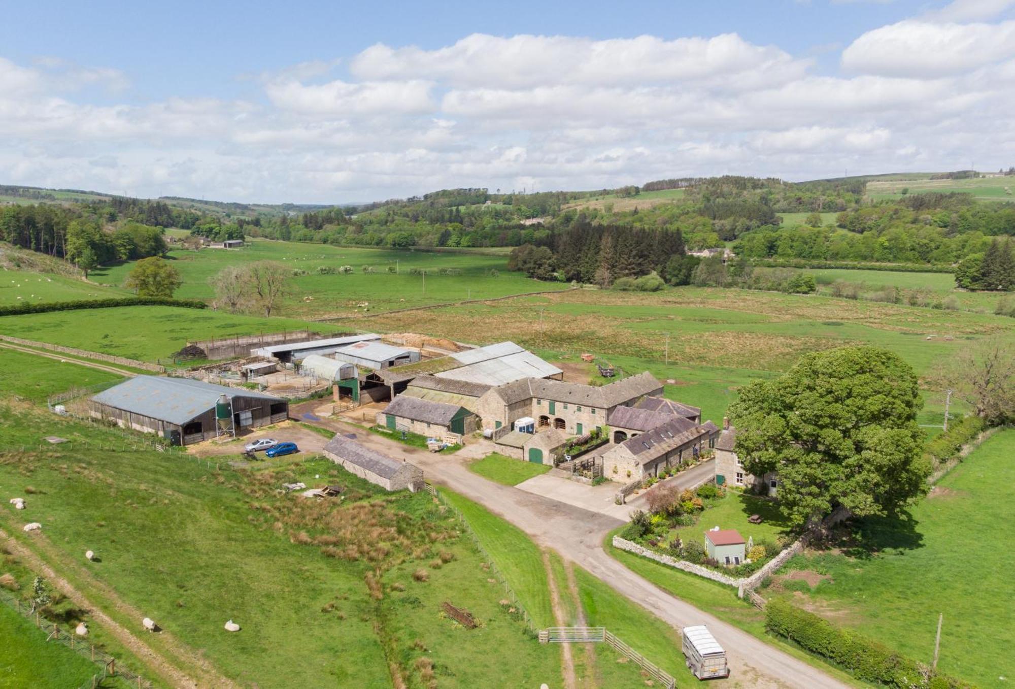 Wydon Farm Bed And Breakfast Haltwhistle Exteriör bild