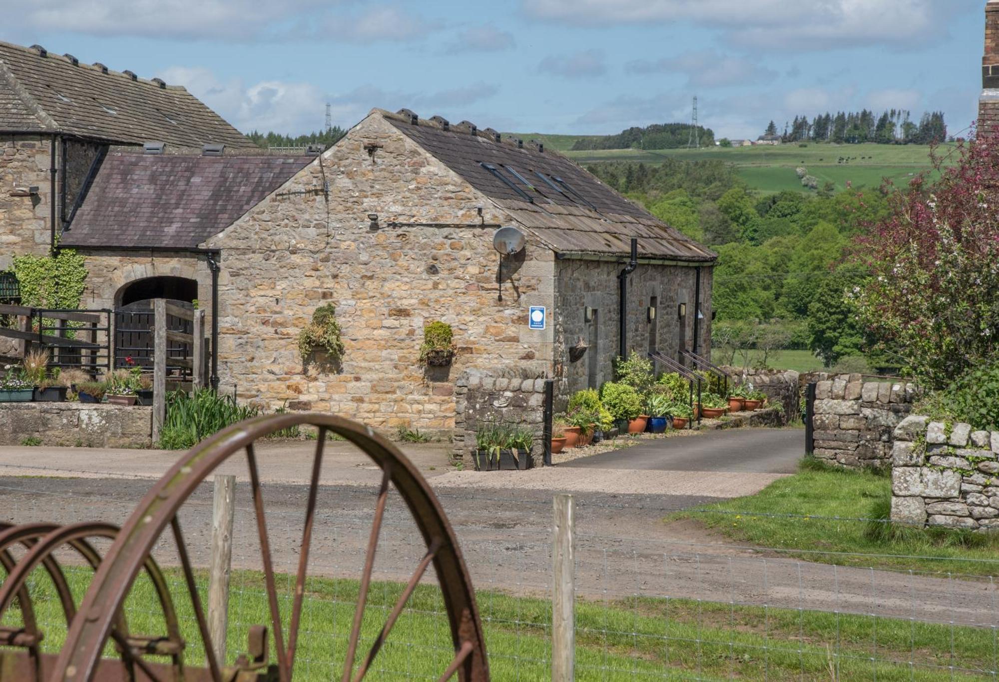 Wydon Farm Bed And Breakfast Haltwhistle Exteriör bild