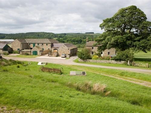 Wydon Farm Bed And Breakfast Haltwhistle Exteriör bild